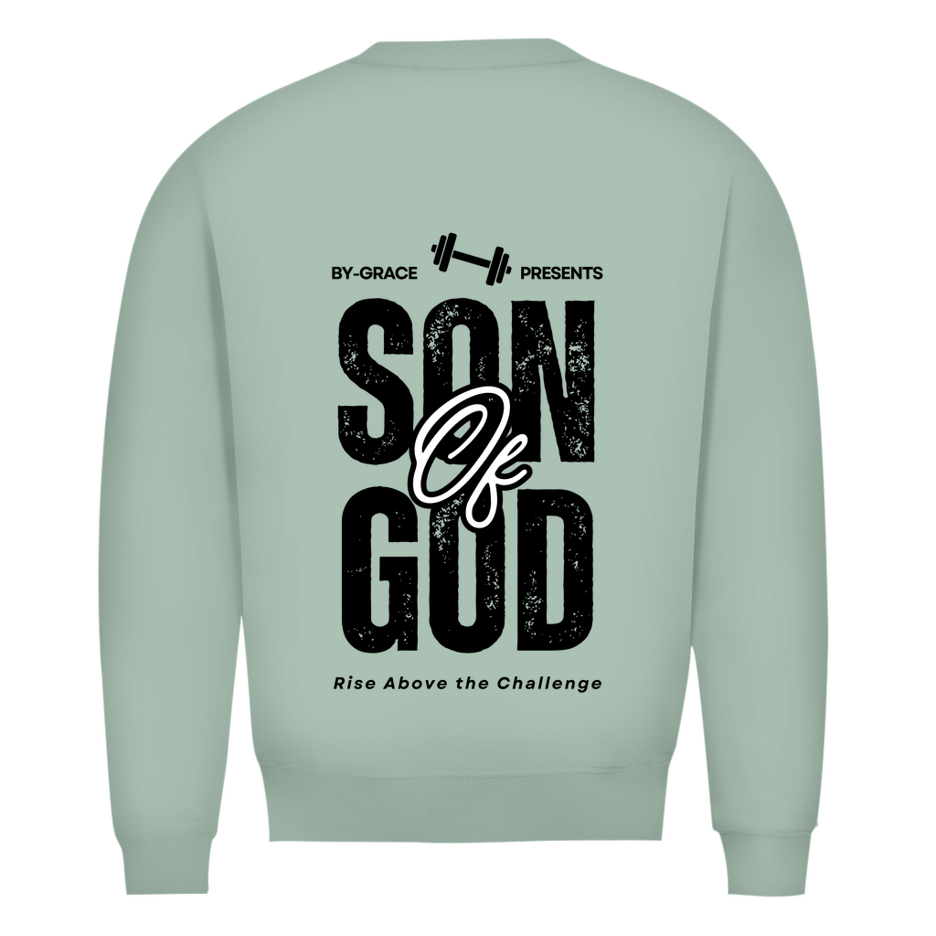 Herren Premium Bio Sweatshirt