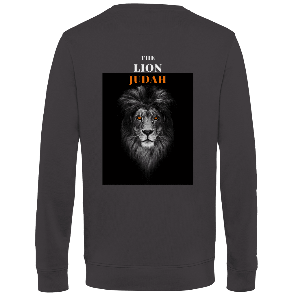 Herren Premium Bio Sweatshirt