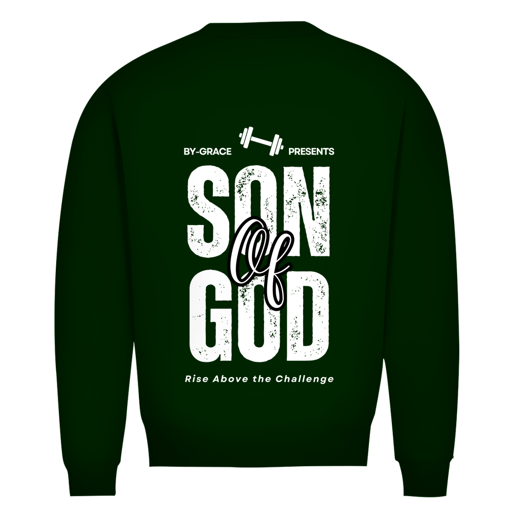 Herren Premium Bio Sweatshirt