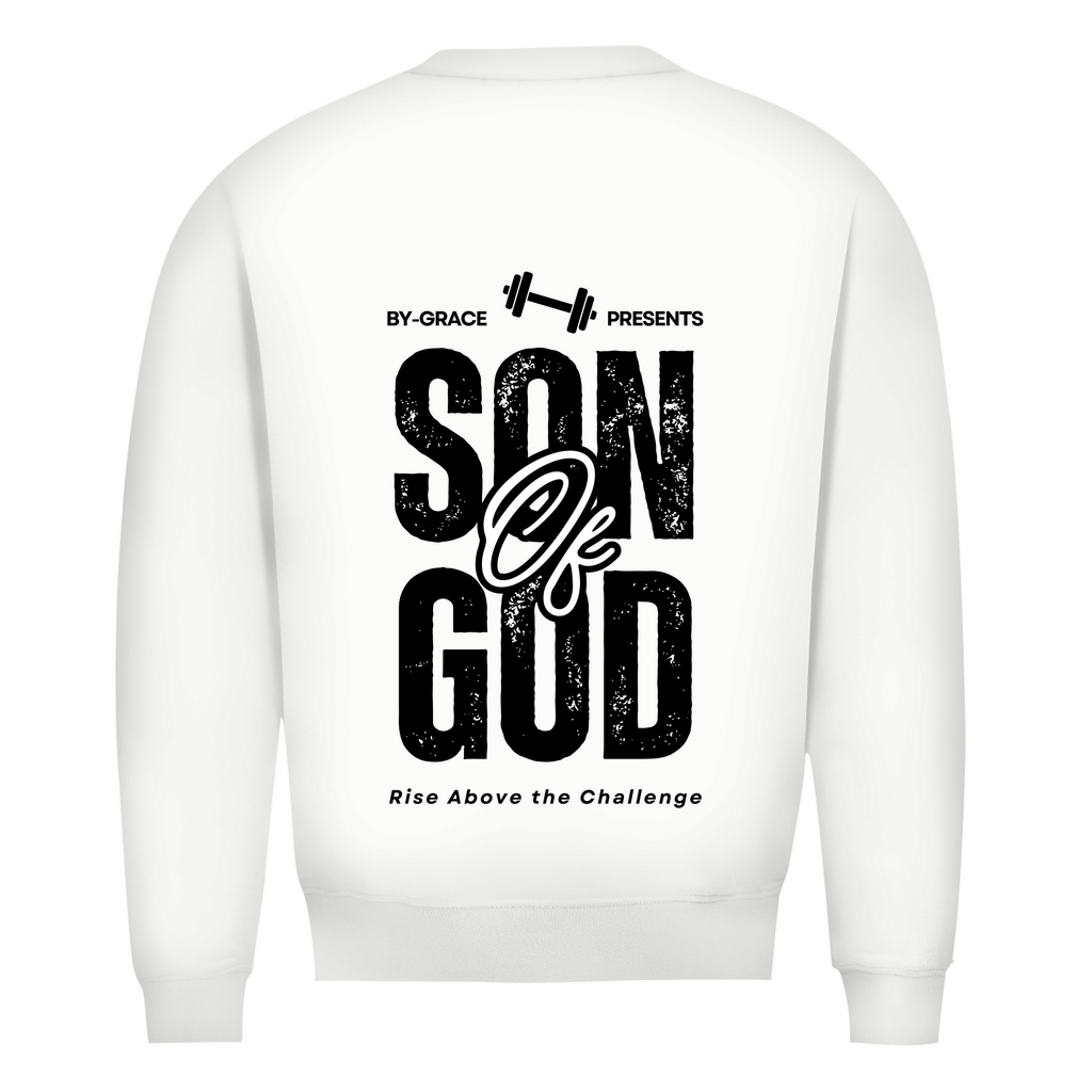 Herren Premium Bio Sweatshirt
