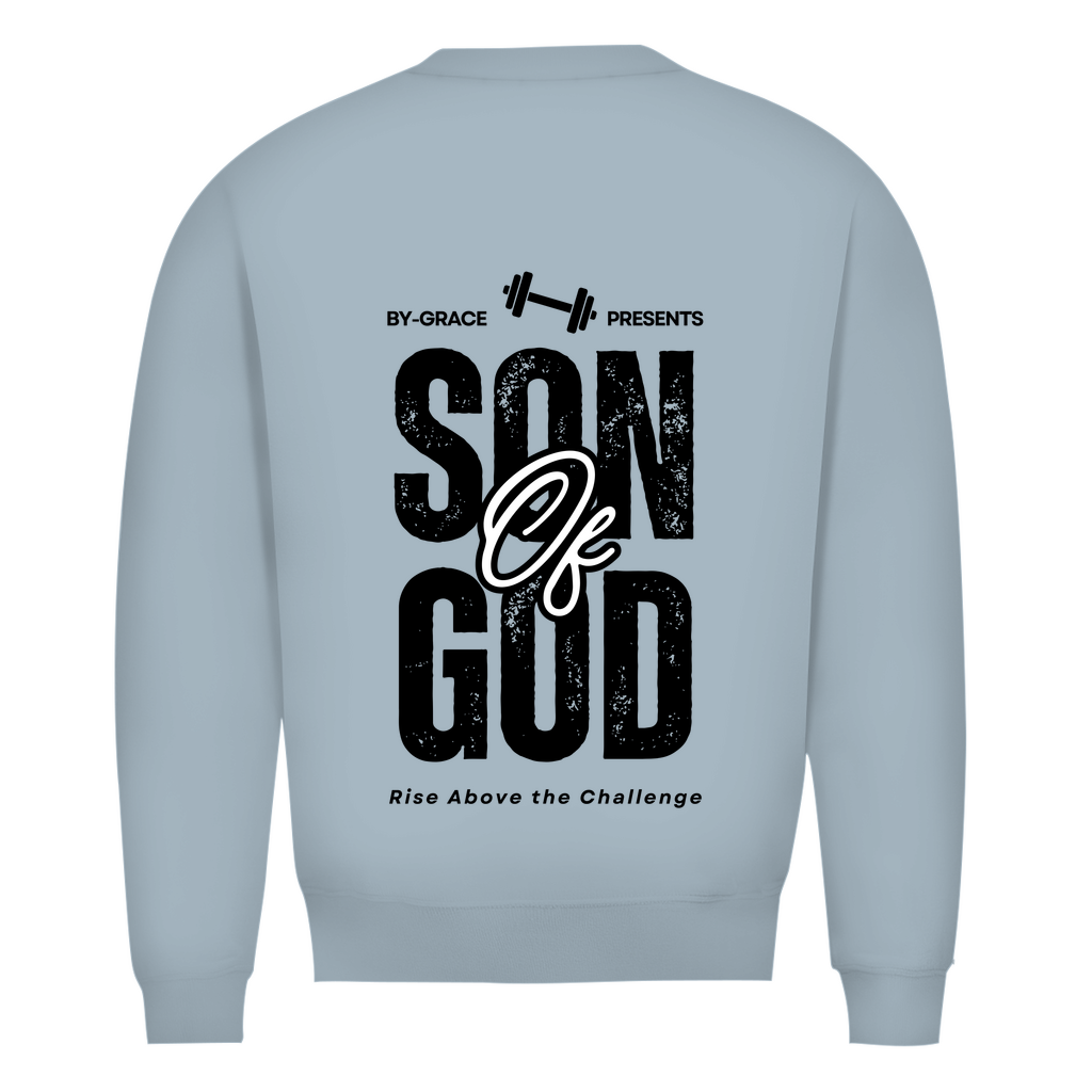 Herren Premium Bio Sweatshirt