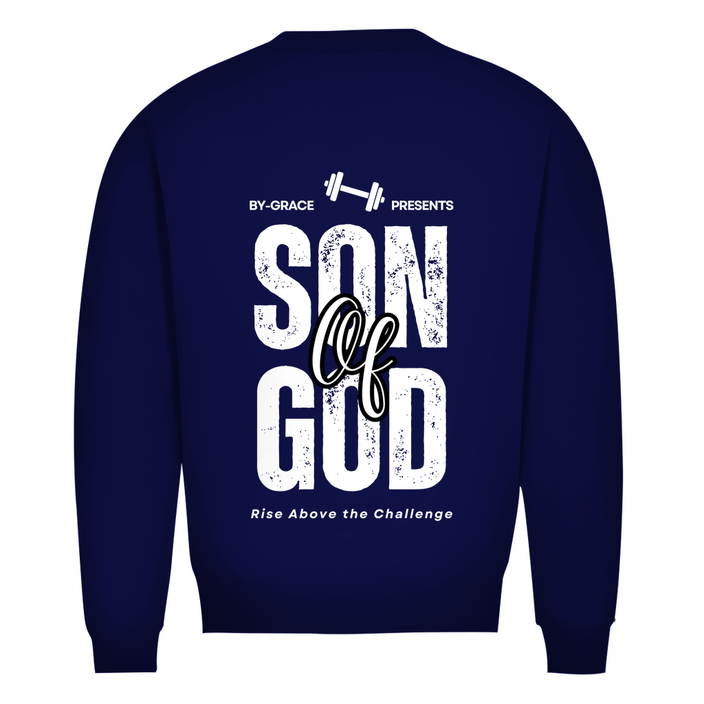 Herren Premium Bio Sweatshirt
