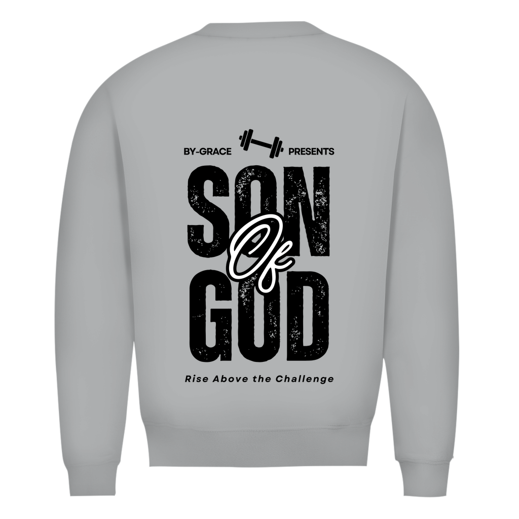 Herren Premium Bio Sweatshirt