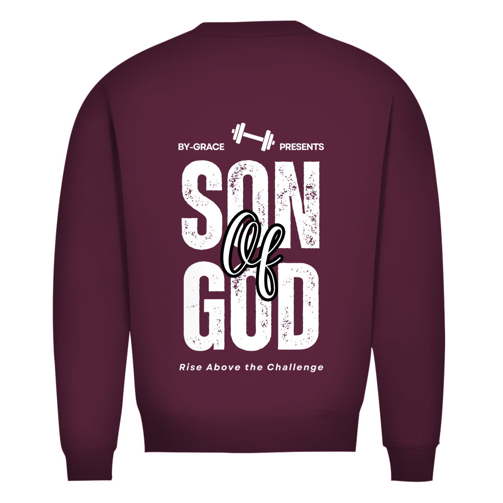 Herren Premium Bio Sweatshirt