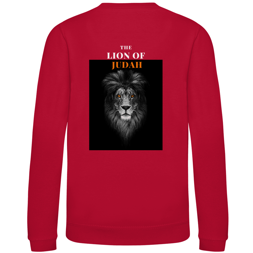 Kinder Sweatshirt