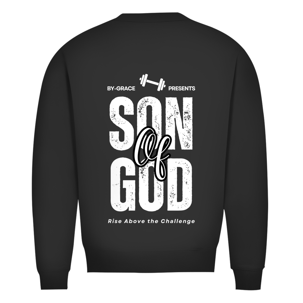 Herren Premium Bio Sweatshirt