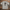 Oversize T-Shirt 