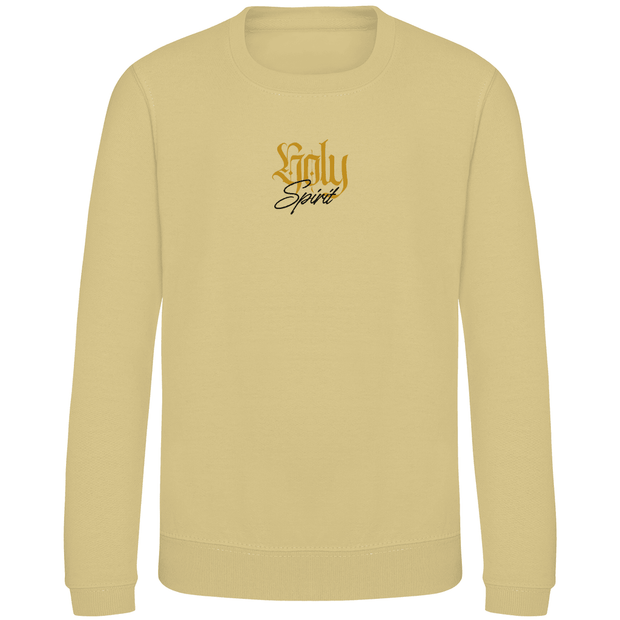 Kinder Sweatshirt "Holy Spirit" - by-grace.store