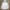 Herren Hoodie 