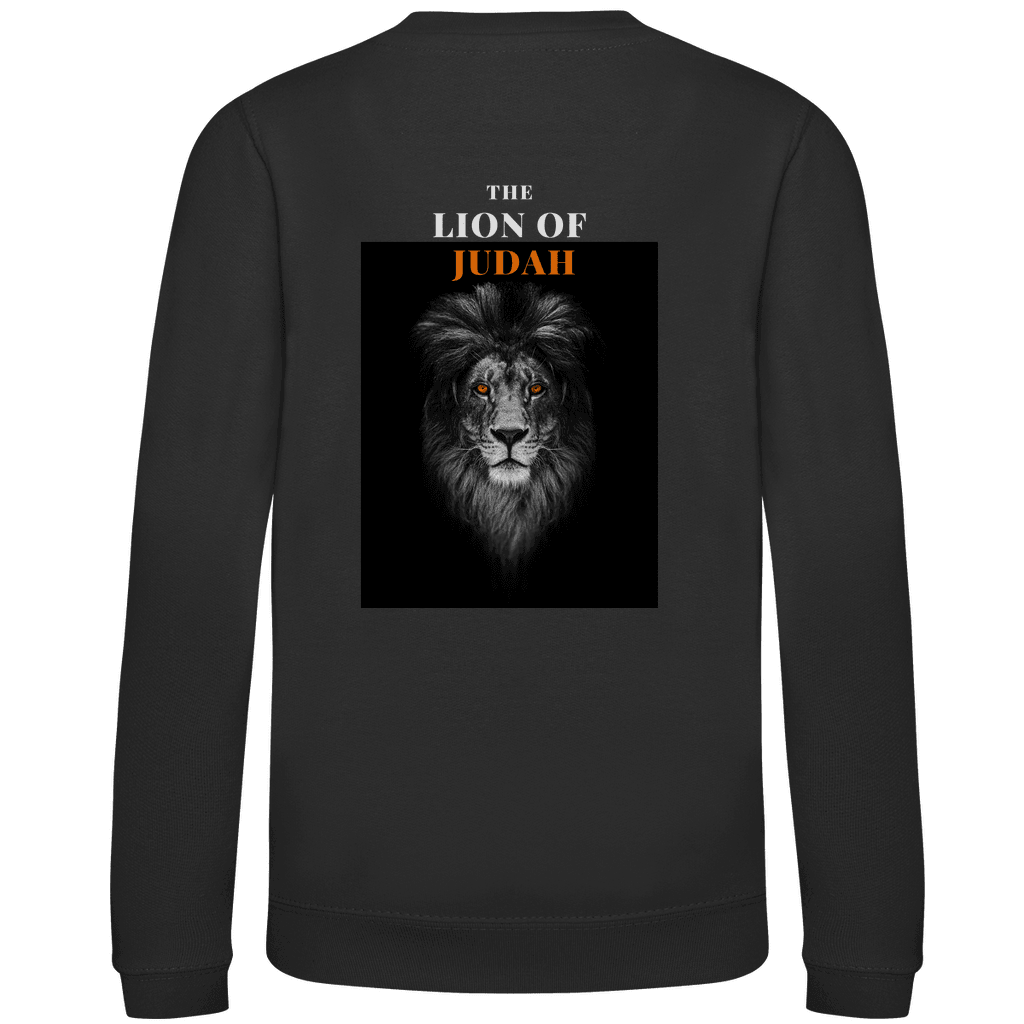 Kinder Sweatshirt 