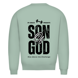 Herren Premium Bio Sweatshirt 