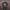 Oversize T-Shirt 