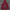 Unisex Oversize Hoodie 