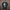 Oversize T-Shirt 