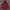 Unisex Oversize Hoodie 