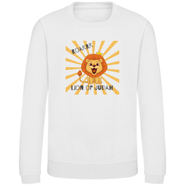 Kinder Sweatshirt 