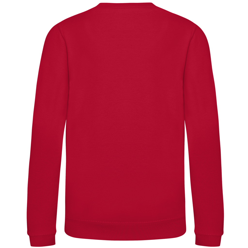 Kinder Sweatshirt 