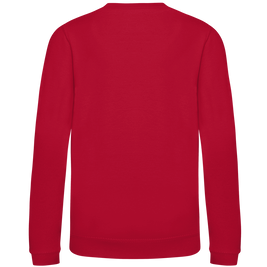 Kinder Sweatshirt 