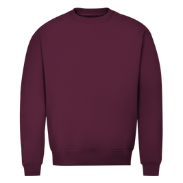 Herren Premium Bio Sweatshirt 