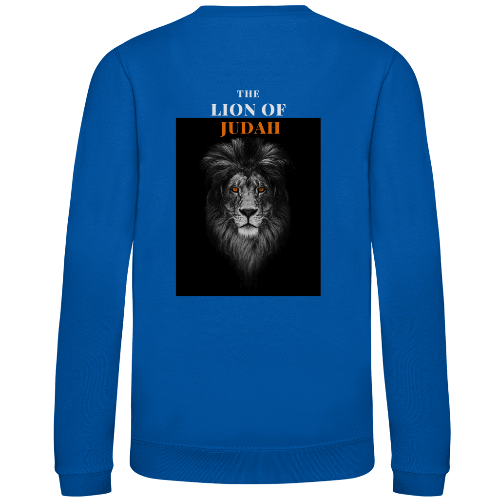 Kinder Sweatshirt 