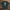 Oversize T-Shirt 