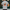 Herren T-Shirt 