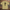 Oversize T-Shirt 