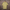 Oversize T-Shirt 