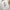 Das iPhone Flexi Case 'von Grace' – Transparent, Stoßfest & Flexibel - by-grace.store