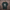 Oversize T-Shirt 