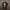 Oversize T-Shirt 