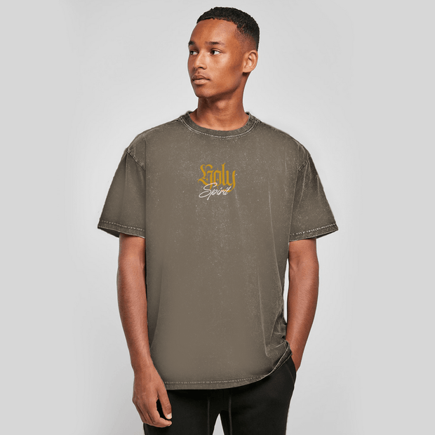 Oversize Washed T-Shirt "Holy Spirit" - by-grace.store