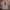 Oversize T-Shirt 