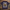 Oversize T-Shirt 