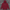 Unisex Oversize Hoodie 