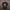 Oversize T-Shirt 