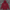 Unisex Oversize Hoodie 