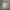 Herren Hoodie 