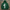 Herren Hoodie 