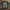 Oversize T-Shirt 