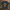Oversize T-Shirt 