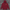 Unisex Oversize Hoodie 