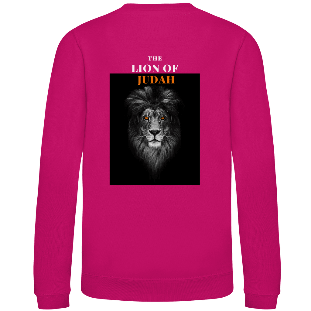 Kinder Sweatshirt 