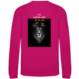 Kinder Sweatshirt 