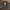 Oversize T-Shirt 