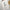 Das iPhone Flexi Case 'von Grace' – Transparent, Stoßfest & Flexibel - by-grace.store