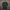 Oversize T-Shirt 