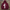 Herren Hoodie 
